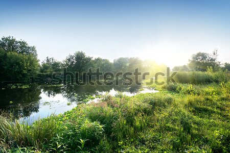 River in sunny morning Stock photo © Givaga