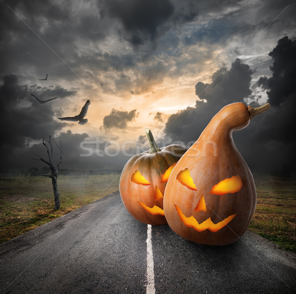 Halloween pumpkins Stock photo © Givaga