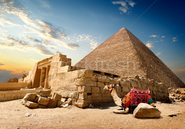 Wielbłąda ruiny wejście niebo wygaśnięcia krajobraz Zdjęcia stock © Givaga