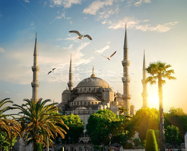 Blue Mosque at summer evening Stock photo © Givaga
