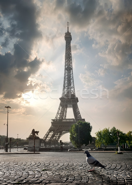 Paris bulutlu gökyüzü Eyfel Kulesi Fransa ağaç Stok fotoğraf © Givaga