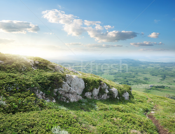 View valle top montagna foresta panorama Foto d'archivio © Givaga