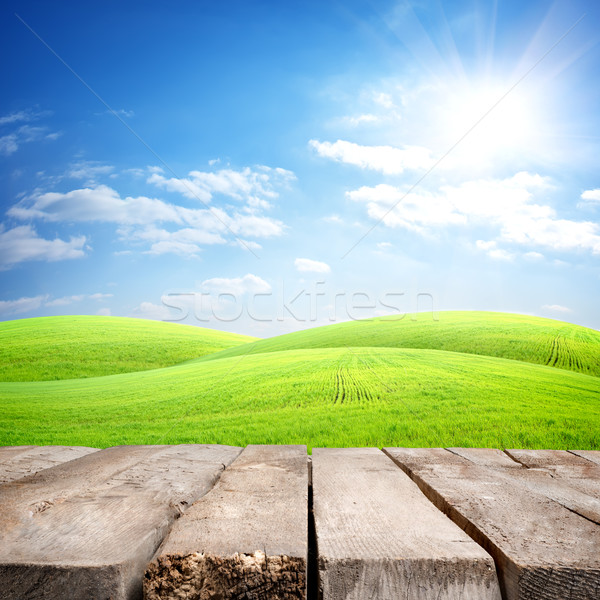 Table and field Stock photo © Givaga