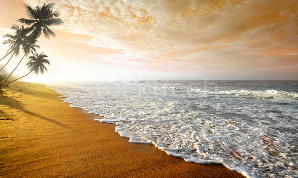 波浪狀的 雲 海洋 印度 日落 太陽 商業照片 © Givaga