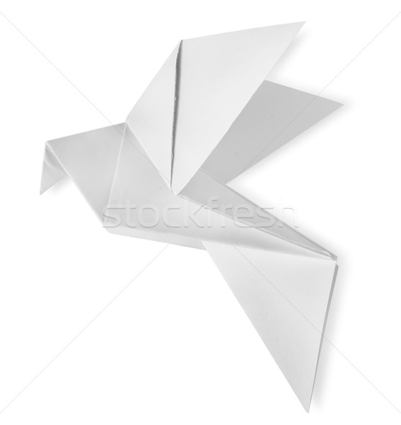 Bird paper isolated Stock photo © Givaga