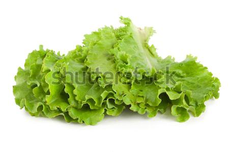 Leaves lettuce Stock photo © Givaga