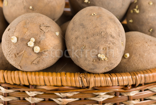 Raw potatoes in wooden basket Stock photo © Givaga
