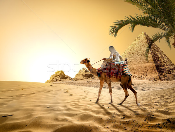 Pyramids in hot desert Stock photo © Givaga