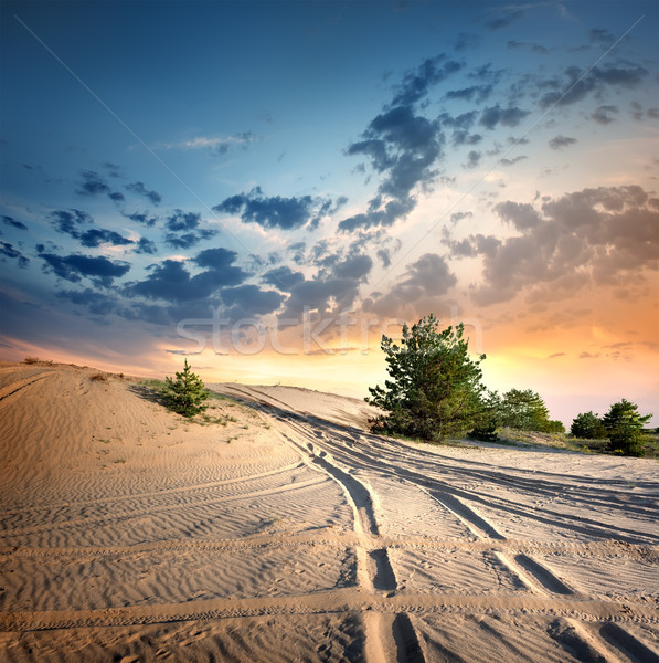 Estrada rural deserto pôr do sol árvore nuvens sol Foto stock © Givaga