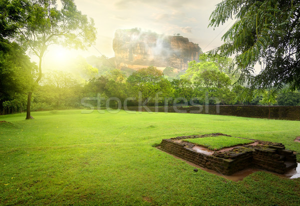 Pradera hierba verde montana Sri Lanka árbol sol Foto stock © Givaga