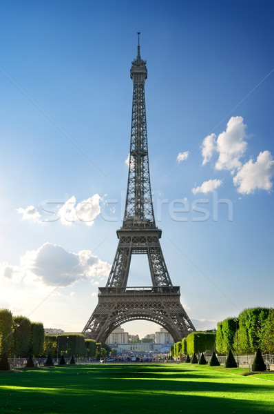 Fém Eiffel-torony Párizs Franciaország égbolt fű Stock fotó © Givaga