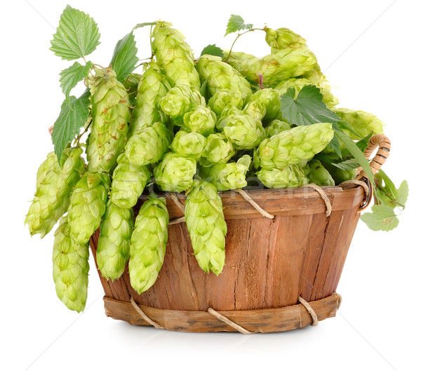 Green hops in a wooden basket Stock photo © Givaga