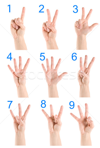 Collage hand showing number Stock photo © Givaga