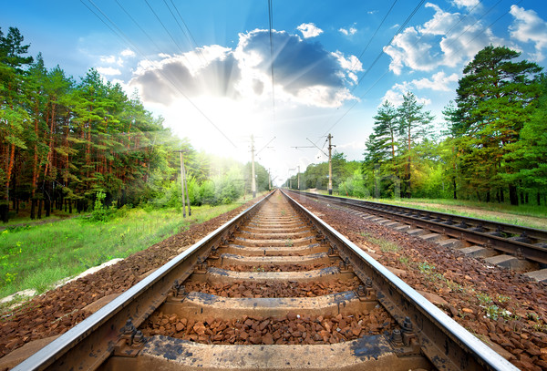 Railroad close-up Stock photo © Givaga