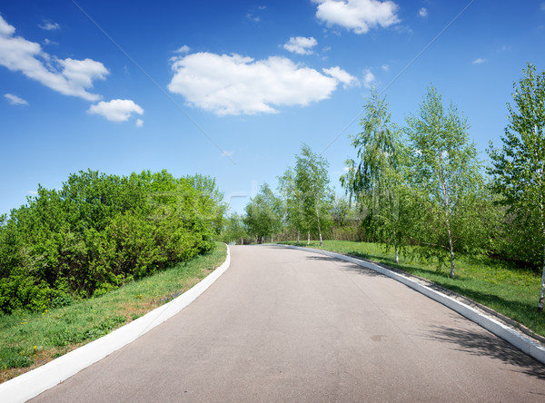 商业照片: 道路 · 春天 ·草· 性质 · 景观