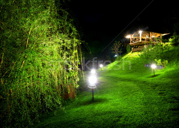 Noche verde edificio naturaleza árboles Foto stock © Givaga