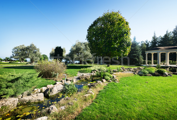 Arbour in a park Stock photo © Givaga