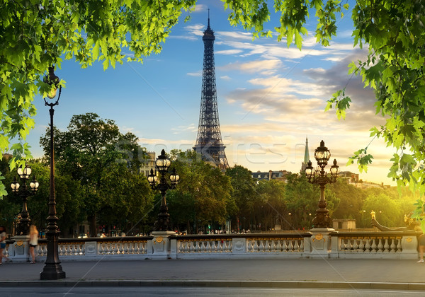 Ansicht Eiffelturm Paris Frankreich Himmel Baum Stock foto © Givaga