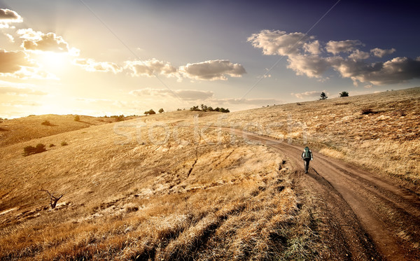Travel to the mountains Stock photo © Givaga