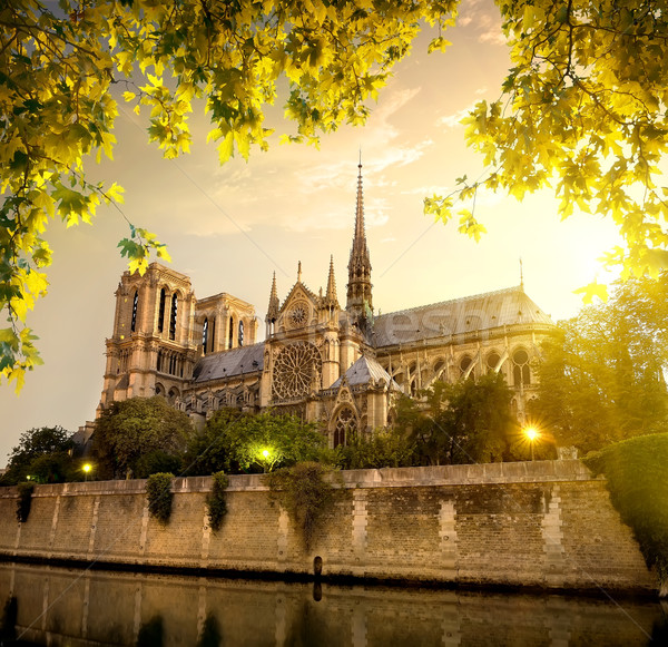 Notre Dame in France Stock photo © Givaga