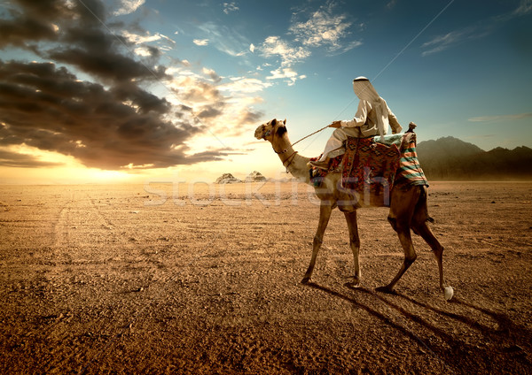 Wygaśnięcia wielbłąda piramidy przeciwmgielne niebo słońce Zdjęcia stock © Givaga