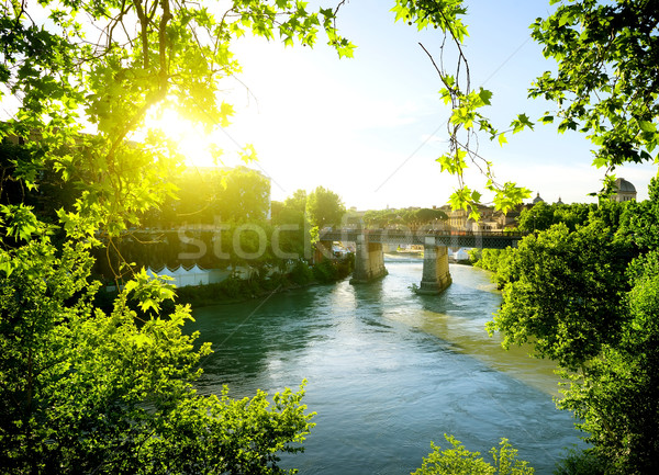 Ponte Palatino, Italy Stock photo © Givaga