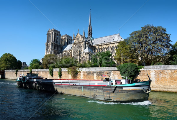 View on Notre Dame Stock photo © Givaga