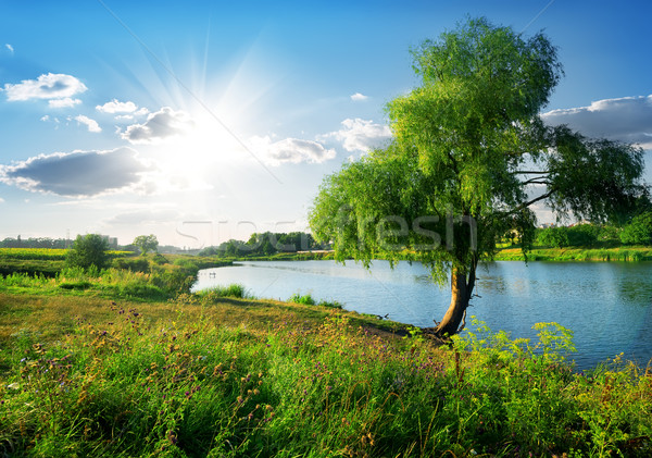 Near river Stock photo © Givaga