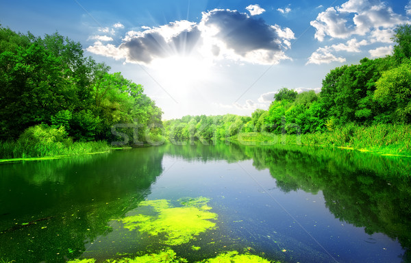 Rio floresta silencioso verde verão céu Foto stock © Givaga