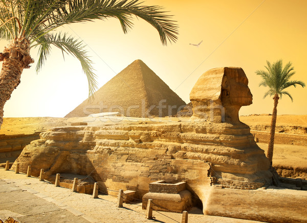 Sphinx and palms Stock photo © Givaga