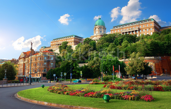 Stock fotó: Királyi · palota · Budapest · kastély · domb · Magyarország