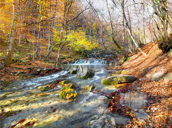 River in mountains Stock photo © Givaga
