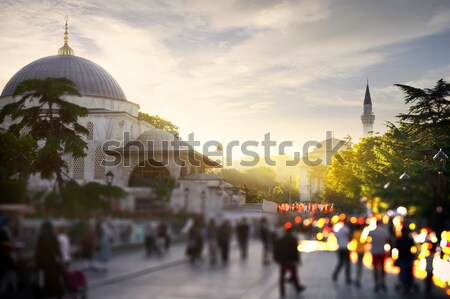 View on Grand Palais Stock photo © Givaga