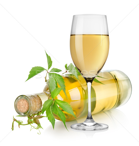 White wine glass and vine Stock photo © Givaga