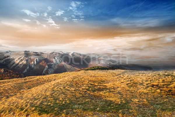 Valley in the mountains Stock photo © Givaga