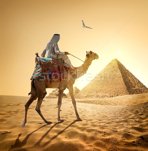 Stock foto: Vogel · Pyramiden · Wüste · Himmel · Sonne · Sonnenuntergang