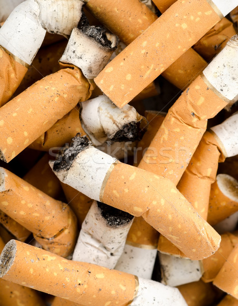 Background from cigarettes Stock photo © Givaga