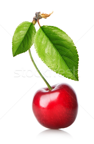 Red cherry with leaves Stock photo © Givaga
