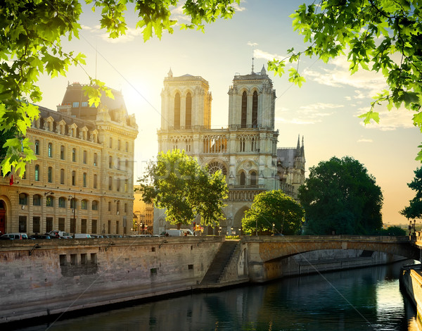 Stok fotoğraf: Notre · Dame · Katedrali · şafak · Paris · Fransa · gökyüzü · Bina