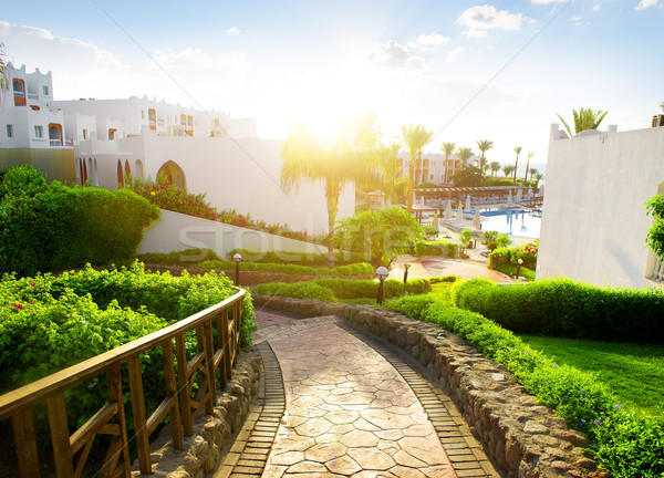 Egyptische hotel schoonheid ochtend strand bloemen Stockfoto © Givaga