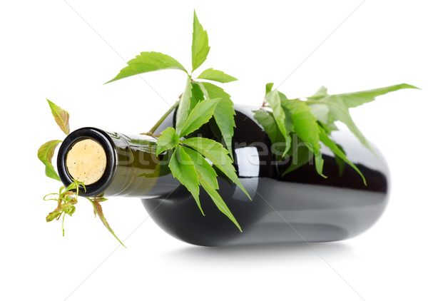 вино винограда изолированный белый природы лист Сток-фото © Givaga