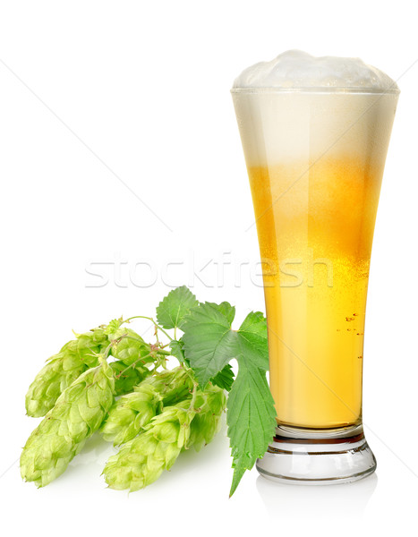 Foto stock: Salto · isolado · branco · cerveja · natureza