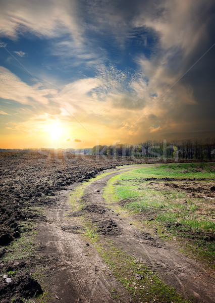Country road through the plowed field Stock photo © Givaga