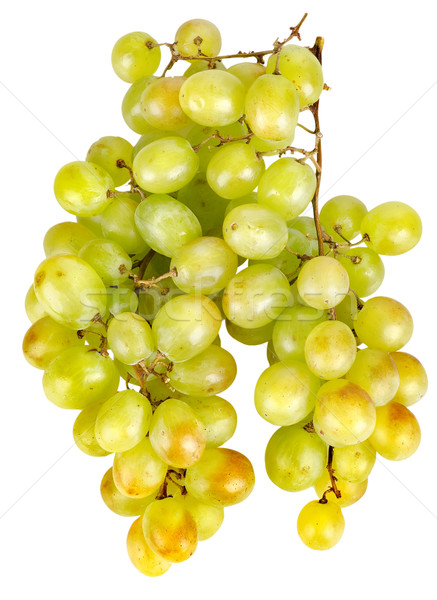 Raisins verts isolé blanche raisins personne Photo stock © Givaga