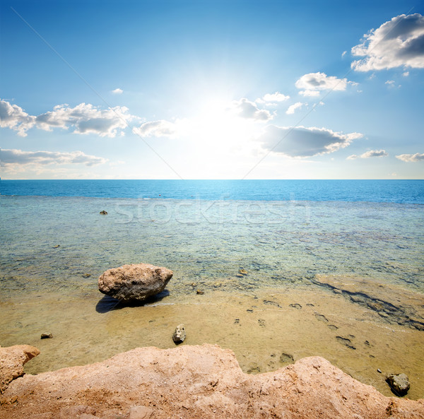 побережье солнечный свет морем фон лет Сток-фото © Givaga