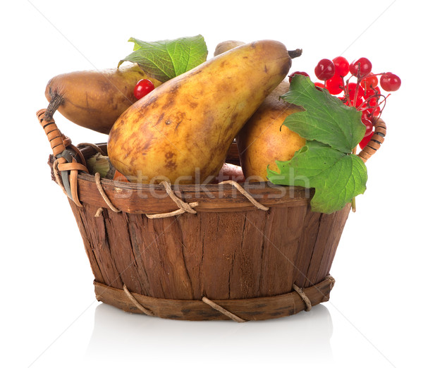 Pear and viburnum Stock photo © Givaga
