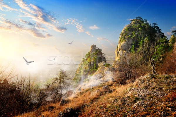 Birds over cliffs Stock photo © Givaga