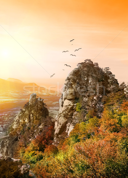 Birds over the Valley of Ghosts Stock photo © Givaga