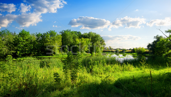 性質 儲備 河 美麗 綠色 夏天 商業照片 © Givaga