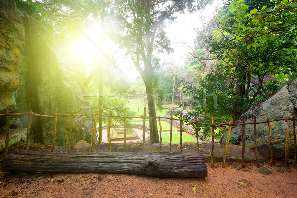Beautiful park on Sigiriya Stock photo © Givaga